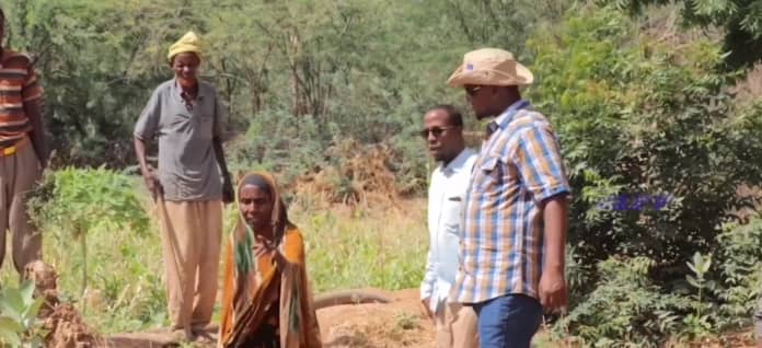 Wasaaradda Beeraha iyo Waraabka Jubbaland oo kormeer ku tagtay beeraha degmada Luuq ee Gobolka Gedo.