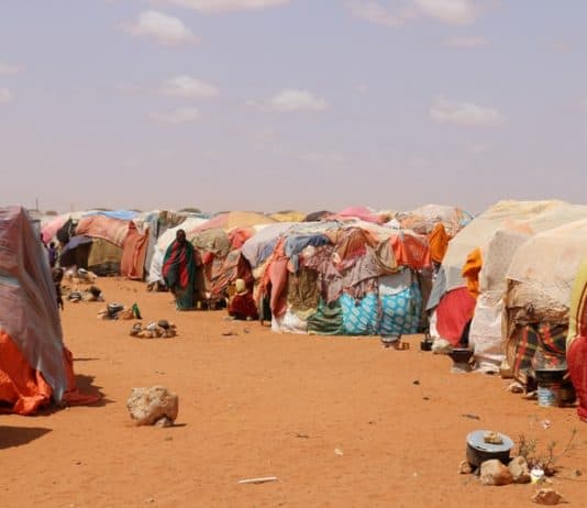 Haween ku nool mid kamida kaamamka  Baladweyne oo abuurtay fursado ganacsi..