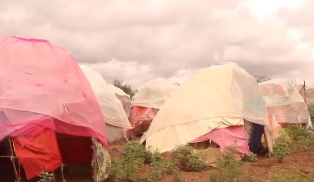 Barkacayaal ku nool Baladweyne oo codsaday in la caawiyo