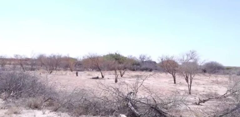 Beeralayda gobolka Mudug oo ka cabanaya Biyo la’aan Xoogan