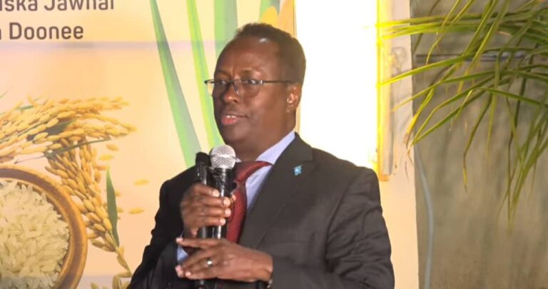 Wasaaradda Beeraha Xfs oo sheegtay in beeraleyda dalku sameeyeen horumar dhanka wax-soo-saarka.