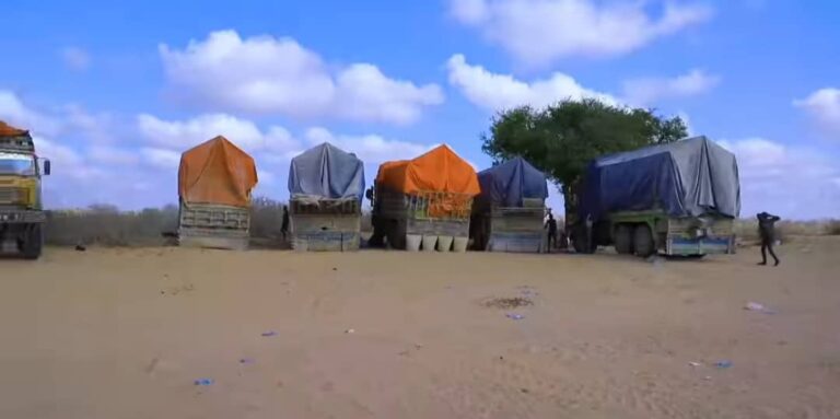 Guddoomiyaha degmada Yaaqshiid oo gaarsiiyay deegaanka Xaaji Cali 10 gaari oo gargaar ah.