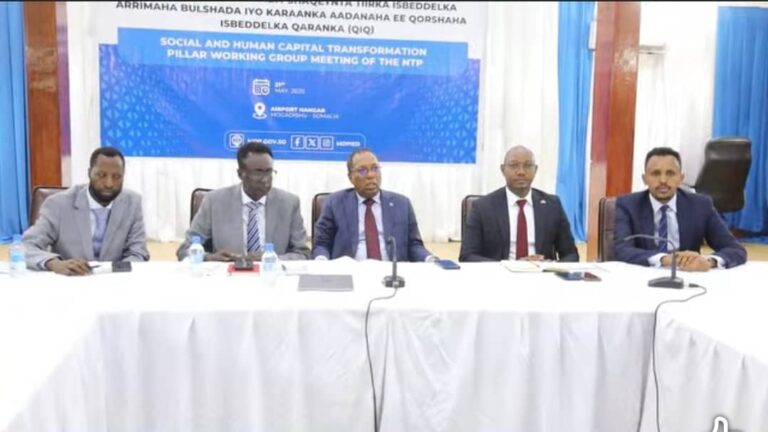 Shirka hanaanka wadashaqeynta tiirarka isbedelka Qaranka oo ka socdo magaalada Muqdisho