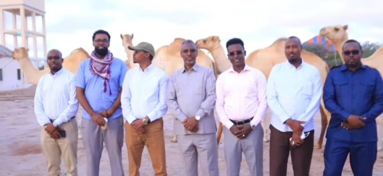 Xildhibaan ka tirsan Golaha Shacabka BFS oo 7-neef oo geel ah ku wareejiyay CXd iyo kuwa deegaanka Xarardheere.