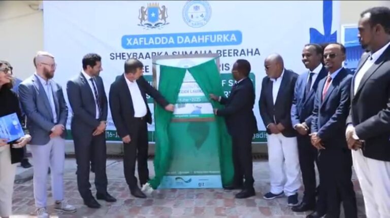 Wasiirka Beeraha XFS oo Daahfuray Sheybaarka Sumaha Beeraha.