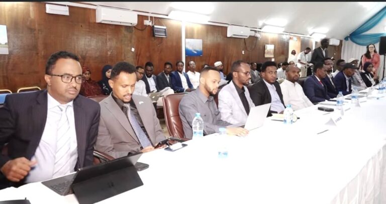 Hay’adda Tirakoobka Qaranka oo  Muqdisho ku qabatay Madasha Wadajirka ee Isku-Duwidda Xogta