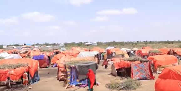 Barakacayaal ku nool duleedka Baladweyne oo codsaday in la caawiyo