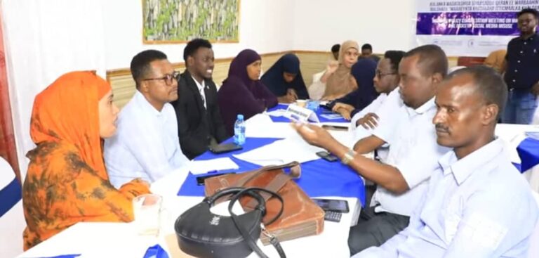 Kulanka looga hadlayeey Maareynta Khataraha Isticmaalka Khaldan ee Warbaahinta  oo Muqdisho lagu soo xiray
