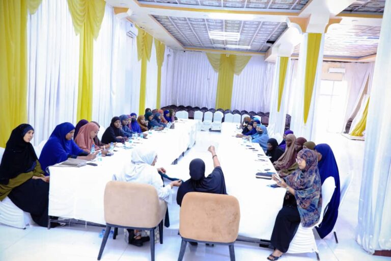 Umuliso Dhaqameedyada iyo Gabdhaha Xirfadlayaasha Caafimaadka ah  oo Dhuusamareeb Tababar loogu qabatay