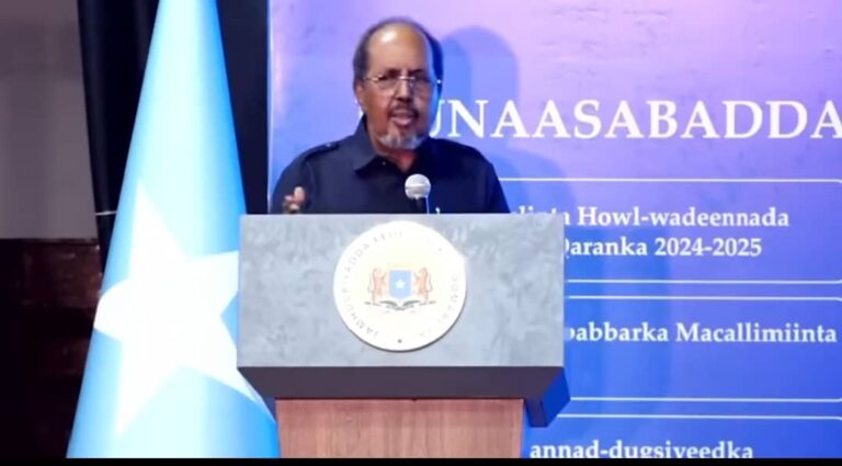 Madaxweynaha JFS oo ku baaqay in Sara loo qaado tayadda waxbarada dalka