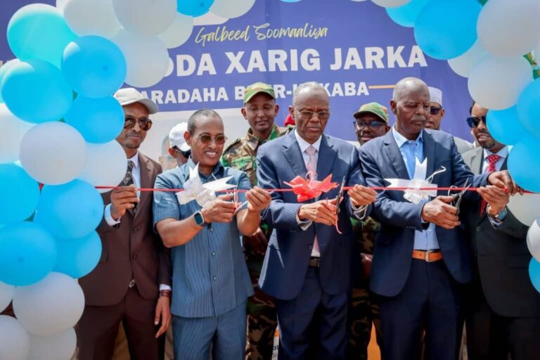 Garoonka diyaaradaha Degmada Buurhakaba oo xariga laga jaray.