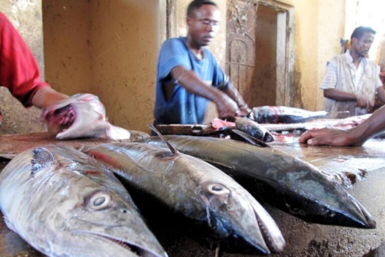 Bulshada Galmudug oo loogu baaqay isticmaalka kheyraadka Badda