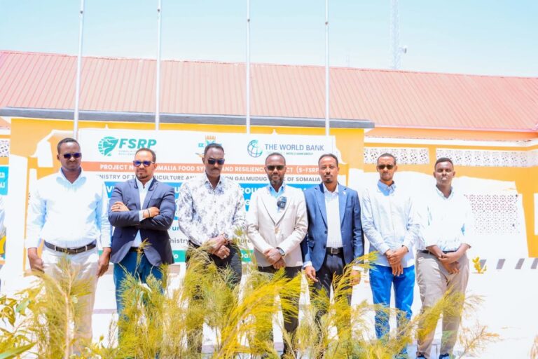 Wasaaradda Beeraha iyo Waraabka Galmudug oo Maamulka Degmada Cadaado Ku wareejisay Geedo