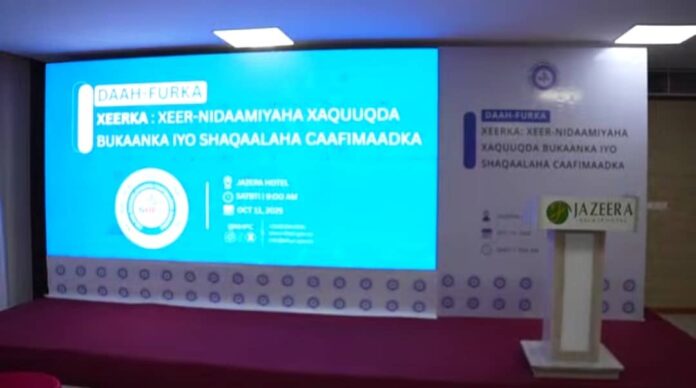 WhatsApp Image 2025-10-12 at 08.11.28